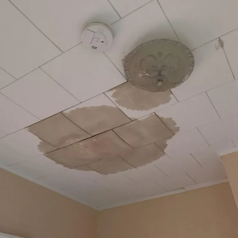 Ceiling Water Damage Repair in Mahoning County, OH