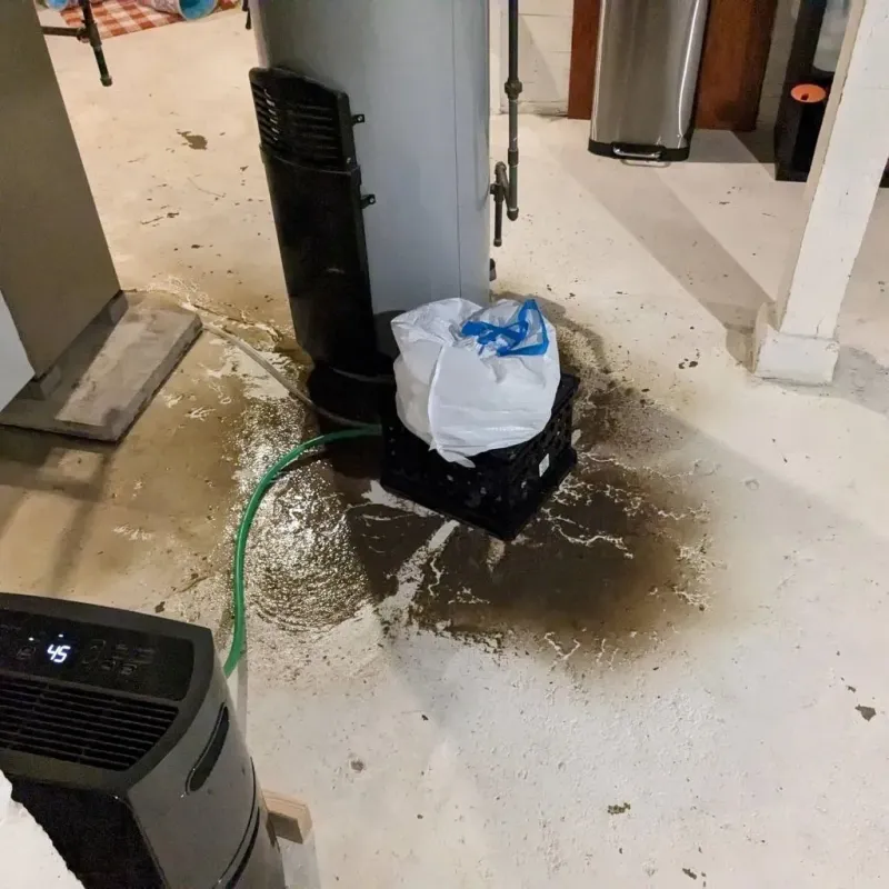 Sewage Backup Cleanup Service in Mahoning County, OH